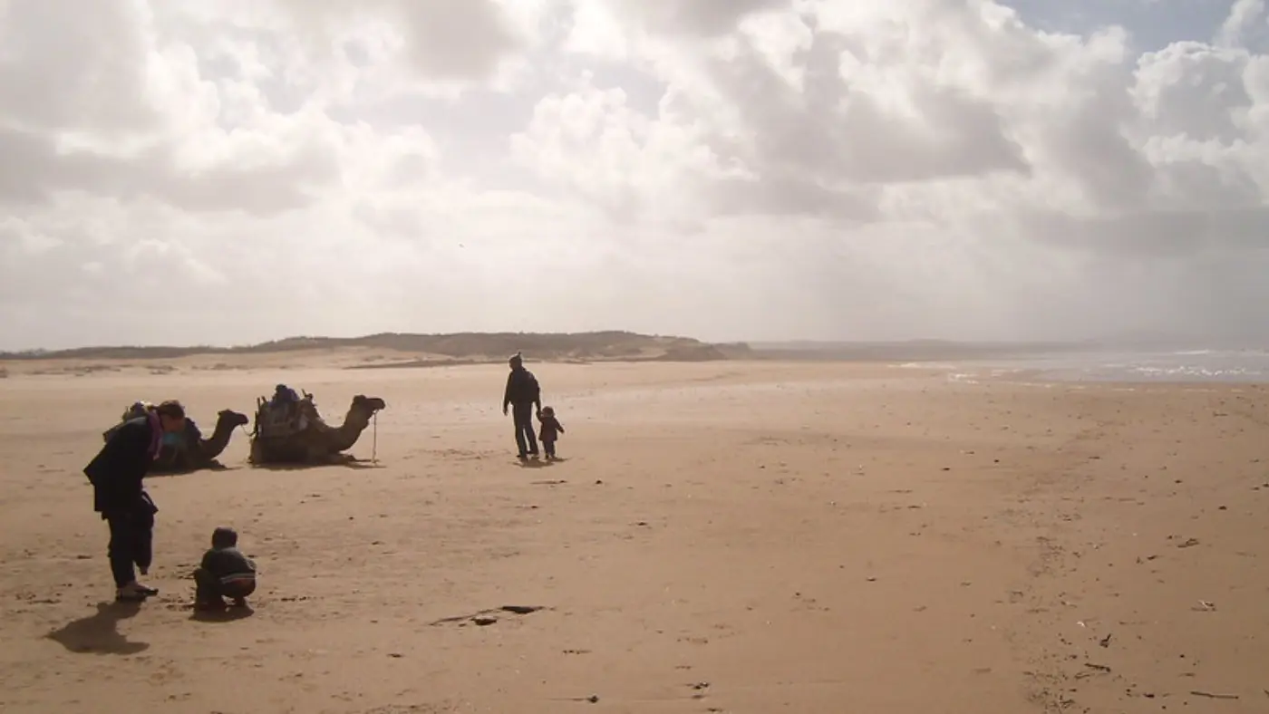 10 Tage Küstenruhe, Hoher Atlas & Sahara ab Agadir — Coastal Beach Camels