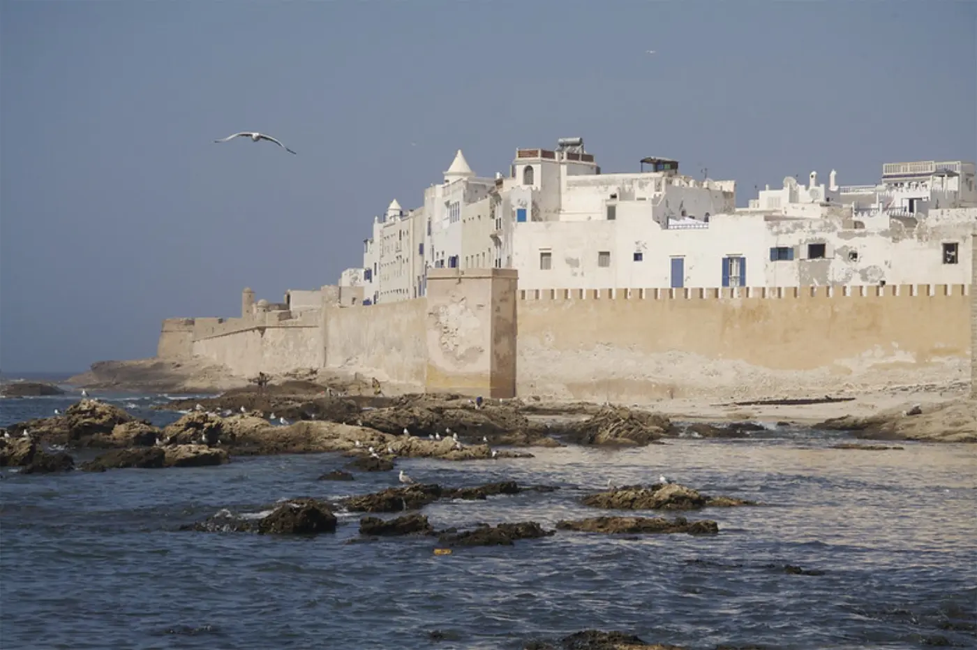 Tagesausflug von Marrakesch nach Essaouira